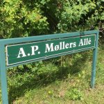 A.P. Møllers Alle i Dragør